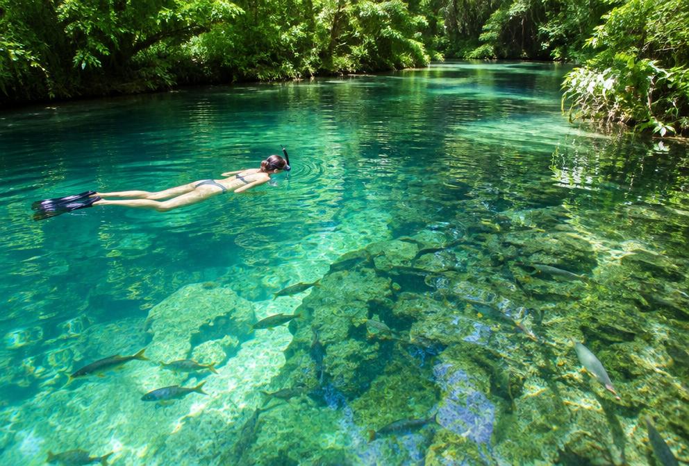 Flutuação em rio de águas cristalinas em Bonito
